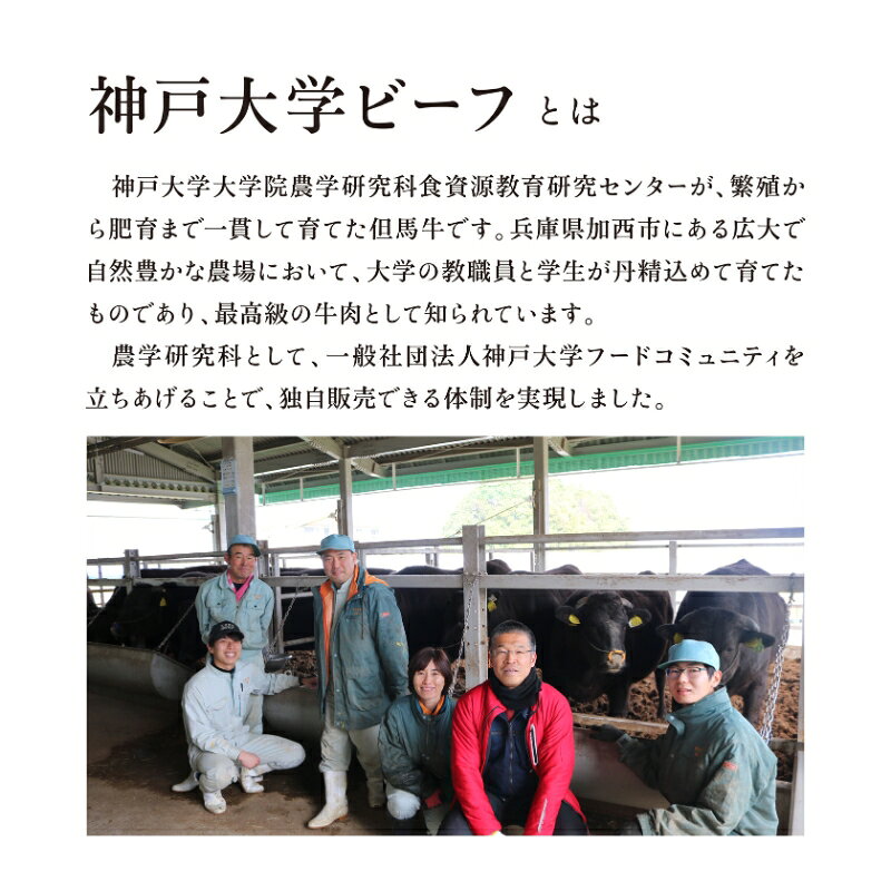 【ふるさと納税】神戸牛 神戸大学ビーフ 希少部位 焼肉用 お試し 300g サンカクバラ カイノミ ササニク ハラミ 神戸ビーフ 牛肉 お肉 肉 焼き肉 アウトドア キャンプ BBQ ブランド牛 但馬牛 f282201-kasai-10002248 兵庫県加西市 サンプル画像2