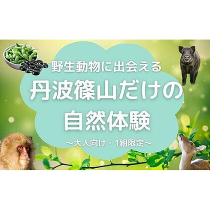 【プライベートプログラム】野生動物に出会える 丹波篠山だけの自然体験