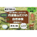 【ふるさと納税】【家族で楽しむ】野生動物に出会える　丹波篠山だけの自然体験