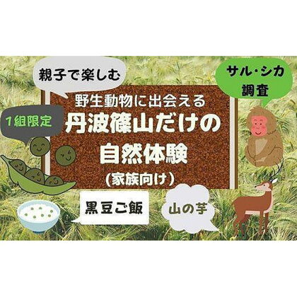 【家族で楽しむ】野生動物に出会える　丹波篠山だけの自然体験