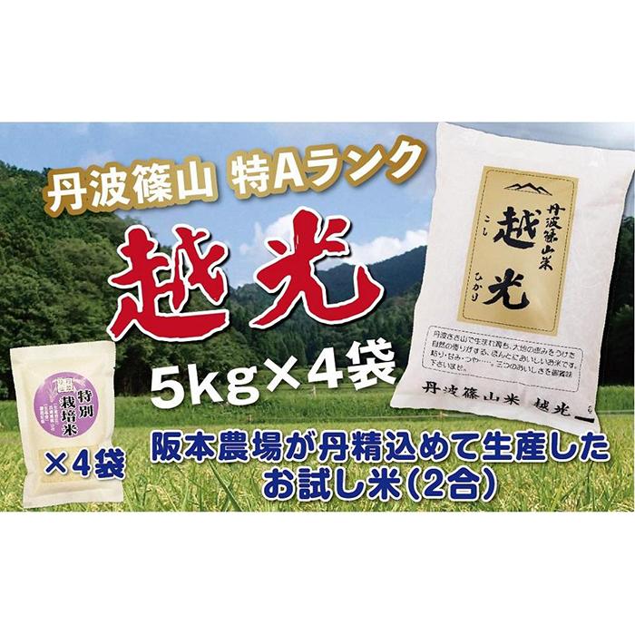 令和5年産　新米！！　丹波篠山産 特Aランク 越 光 （5kg×4袋） | 丹波篠山 お米 おこめ ブランド米 ごはん ご飯 白米 米 コメ こめ 精米 精白米 ライス おいしい米 美味しいお米 兵庫県 お取り寄せ こしひかり コシヒカリ