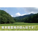 【ふるさと納税】令和5年産　新米！！　丹波篠山産 特Aランク 越 光 （5kg×4袋） | 丹波篠山 お米 おこめ ブランド米 ごはん ご飯 白米 米 コメ こめ 精米 精白米 ライス おいしい米 美味しいお米 兵庫県 お取り寄せ こしひかり コシヒカリ 2