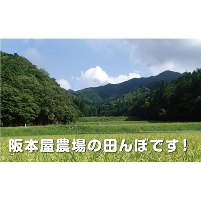 【ふるさと納税】令和5年産　新米！！　丹波篠山産 特Aランク 越 光 （5kg×3袋） | 丹波篠山 お米 おこめ ブランド米 ごはん ご飯 白米 米 コメ こめ 精米 精白米 ライス おいしい米 美味しいお米 兵庫県 お取り寄せ こしひかり コシヒカリ