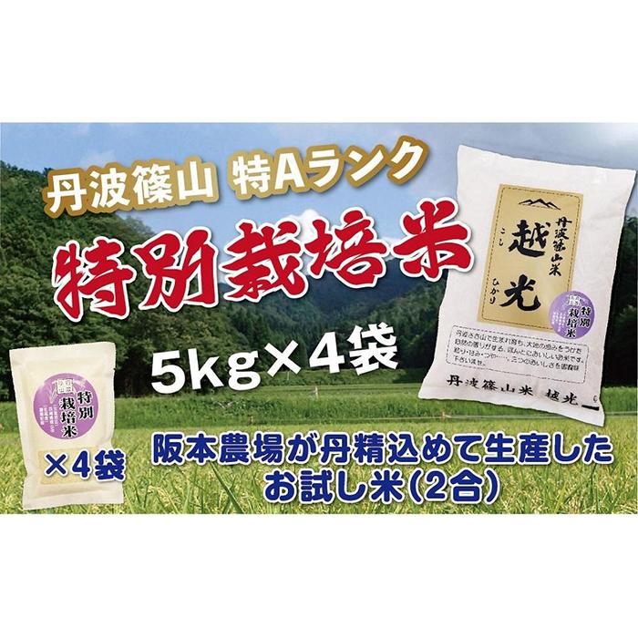 【ふるさと納税】令和5年産　新米！！　丹波篠山産 特Aランク 特別栽培米 越光（5kg×4袋） | 丹波篠山 お米 おこめ ブランド米 ごはん ご飯 白米 米 コメ こめ 精米 精白米 ライス おいしい米 美味しいお米 兵庫県 お取り寄せ こしひかり コシヒカリ