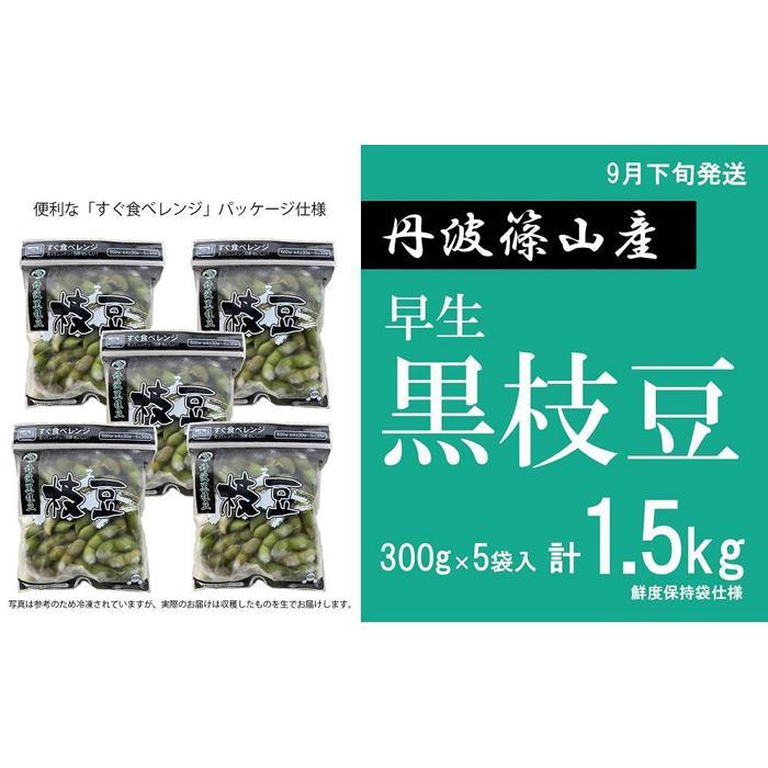 【ふるさと納税】【先行予約2024年9月下旬発送】早生丹波黒枝豆300g×5（枝なし）