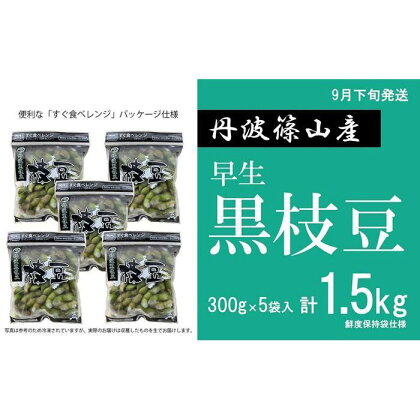 【先行予約2024年9月下旬発送】早生丹波黒枝豆300g×5（枝なし）