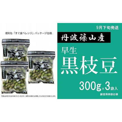 【先行予約2024年9月下旬発送】早生丹波黒枝豆300g×3（枝なし）