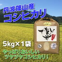 【ふるさと納税】お米のおいしさ伝えたい！丹波篠山産コシヒカリ5kg×1