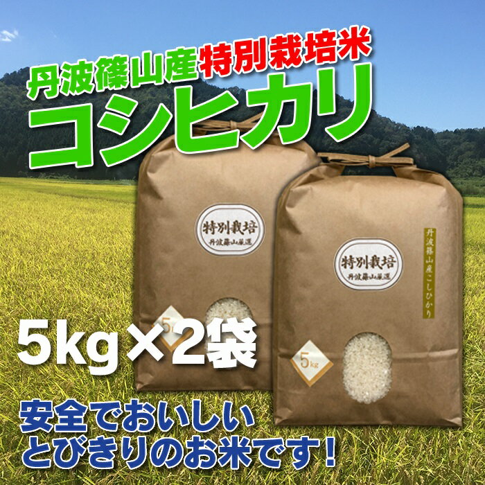 【ふるさと納税】お米のおいしさ伝えたい！特別栽培米コシヒカリ5kg×2