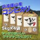 【ふるさと納税】お米のおいしさ伝えたい!丹波篠山産コシヒカリ