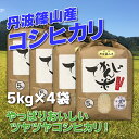 【ふるさと納税】お米のおいしさ伝えたい！丹波篠山産コシヒカリ5kg×4