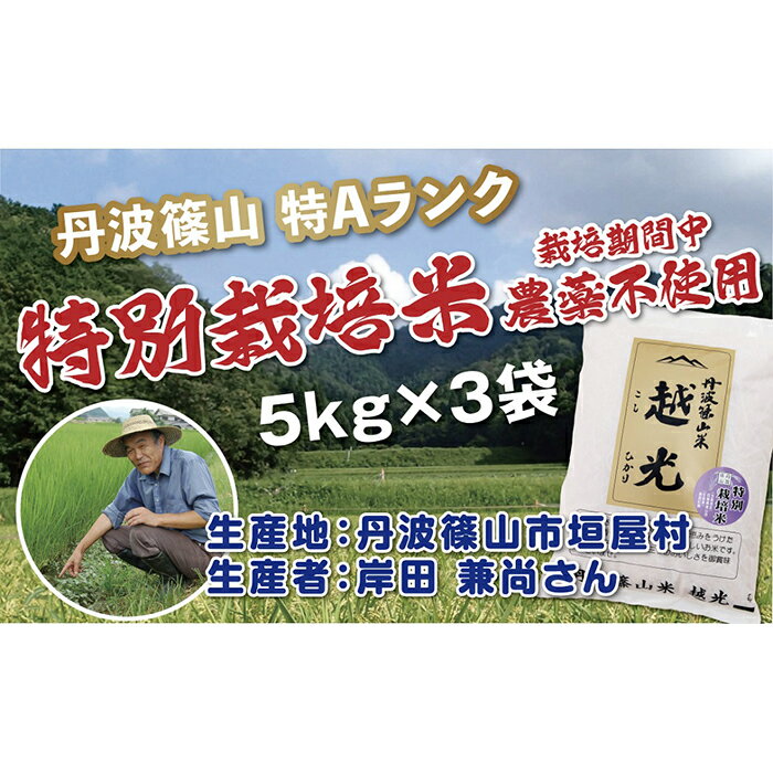 令和5年産　新米！！　丹波篠山産　特別栽培米　越光（農薬不使用）（5kg×3袋） | 丹波篠山 お米 おこめ ブランド米 ごはん ご飯 白米 米 コメ こめ 精米 精白米 ライス おいしい米 美味しいお米 兵庫県 お取り寄せ こしひかり コシヒカリ