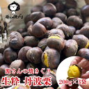 【ふるさと納税】【2025年10月中旬より発送】生粋丹波栗 源さんの焼きぐり 200g×3袋 | 兵庫県 丹波篠山市 プレミアム栗 期間限定 お取り寄せグルメ...