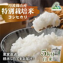【ふるさと納税】【令和7年産 2025年9月以降順次発送】 丹波篠山産特別栽培コシヒカリ 白米 5kg 兵庫県 丹波篠山市 白米 100%単一原料米 産地直送米...
