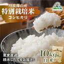 【ふるさと納税】【令和7年産 2025年9月以降順次発送】 丹波篠山産特別栽培コシヒカリ 白米 10kg 兵庫県 丹波篠山市 白米 100%単一原料米 産地直送...