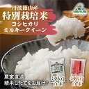 【ふるさと納税】【令和7年産 2025年9月以降順次発送】 丹波篠山産特別栽培コシヒカリ 白米 5kg と 丹波篠山産特別栽培ミルキークイーン 白米 5kg 兵庫県 丹波篠山市 白米 100%単一原料米 産地直送米 贈答 おいしい お米 精米 ブランド おこめ 健康 ギフト 人気 口コミ