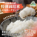 【ふるさと納税】【令和7年産 2025年9月以降順次発送】 丹波篠山産特別栽培ミルキークイーン 玄米 30kg 兵庫県 丹波篠山市 げんまい 100%単一原料米...
