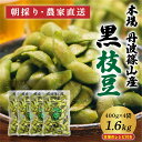 【ふるさと納税】【2025年10月発送】丹波篠山 黒枝豆 さやのみ 400g x 4袋 1.6kg (朝採り・産地直送) | 兵庫県 丹波篠山市 枝豆 期間限定 黒枝豆 えだまめ エダマメ 丹波 お取り寄せグルメ 高級 特産品 名産品 おつまみ おうち居酒屋 レビューキャンペーン