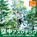 【ふるさと納税】森の空中散歩!フォレストアドベンチャー・丹波ささやま 体験チケット