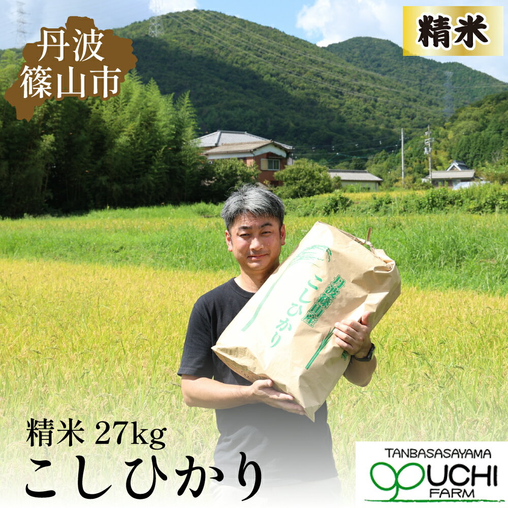 【ふるさと納税】令和6年産 新米!　丹波篠山の大地で育まれたコシヒカリ　精米27kg | 白米 100％単一原料米 産地直送米 贈答 おいしい お米 コシヒカリ ブランド おこめ 健康 ギフト 内祝い 贈り物 送料無料 おすすめ 人気 口コミ