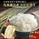 【ふるさと納税】【予約】令和7年産 丹波篠山の大地で育まれたコシヒカリ 玄米・精米 10kg〜 | 白米 100%単一原料米 産地直送米 贈答 おいしい お米 ...