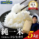 【ふるさと納税】【令和7年産】兵庫県丹波篠山産 〈12ヶ月定期便〉コシヒカリ5kg(5kg×12回) 兵庫県 丹波篠山市 白米 100%単一原料米 産地直送米 ...