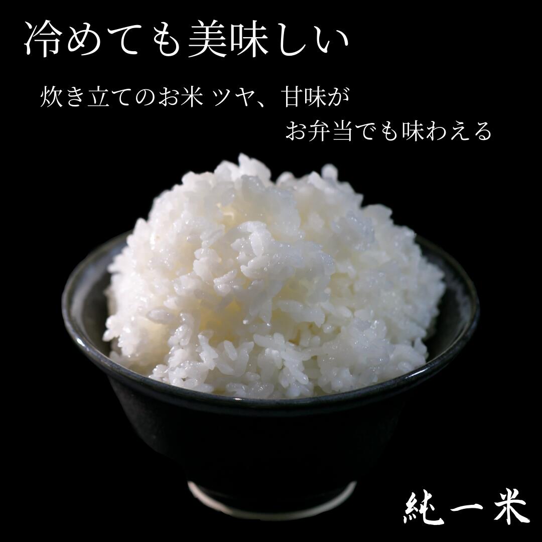 【ふるさと納税】【令和5年産】兵庫県丹波篠山産 〈12ヶ月定期便〉コシヒカリ15kg（15kg×12回） | 兵庫県 丹波篠山市