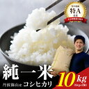 【ふるさと納税】【令和7年産】丹波篠山産 コシヒカリ 10kg(5kg×2袋) 兵庫県 丹波篠山市 白米 100%単一原料米 産地直送米 贈答 おいしい お米 ...
