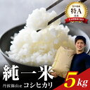 【ふるさと納税】【令和7年産】丹波篠山産 コシヒカリ 5kg 兵庫県 丹波篠山市 白米 100%単一原料米 産地直送米 贈答 おいしい お米 精米 ブランド お...