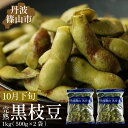 【ふるさと納税】【予約受付中! 2025年10月下旬発送】令和7年産 完熟丹波黒枝豆500g×2(枝なし) プレミアム枝豆 期間限定 黒枝豆 えだまめ エダマメ...