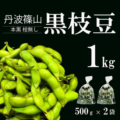 【先行予約 2024年10月中旬発送】丹波ふるさと村の丹波黒枝豆500g×2(枝なし)