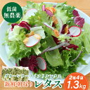 【ふるさと納税】無農薬 朝採り フリルレタス グリーンリーフレタス 2種類 個包装 4袋 1.3kg 日付指定 | 兵庫県 丹波篠山市 洗わずに食べられる 新鮮レタス 無農薬 野菜直送 フレッシュ サラダ用野菜 健康志向 産地直送 緑黄色野菜 新鮮 安心野菜 旬