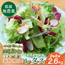 【ふるさと納税】無農薬 朝採り フリルレタス グリーンリーフレタス 2種類 個包装 8袋 2.6kg | 兵庫県 丹波篠山市 洗わずに食べられる 新鮮レタス 無農薬 野菜直送 フレッシュ サラダ用野菜 健康志向 産地直送 緑黄色野菜 新鮮 安心野菜 旬 レタスボウル カロテン