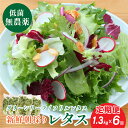 【ふるさと納税】【 定期便 】 無農薬 朝採り フリルレタス グリーンリーフレタス 個包装 2種類 1.3kg 6回 | 兵庫県 丹波篠山市 洗わずに食べられる...