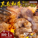 【ふるさと納税】国産黒毛和牛 タレ漬けホルモンミックス 韓国味噌ダレ 250gx2・250gx4 | 兵庫県 丹波篠山市 タレ漬けホルモンミックス 韓国味噌ダレ 250g×2袋 250×4袋 焼肉用 ホルモン 肉 小分け 冷凍 ギフト