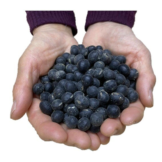 【ふるさと納税】【丹波篠山名物！】丹波篠山　黒豆きなこ10袋 | 兵庫県 丹波篠山市 川北黒大豆 黒豆 和菓子 タンパク質 きな粉餅 お菓子 スイーツ デザート 洋菓子 お土産 贈答品 ギフト