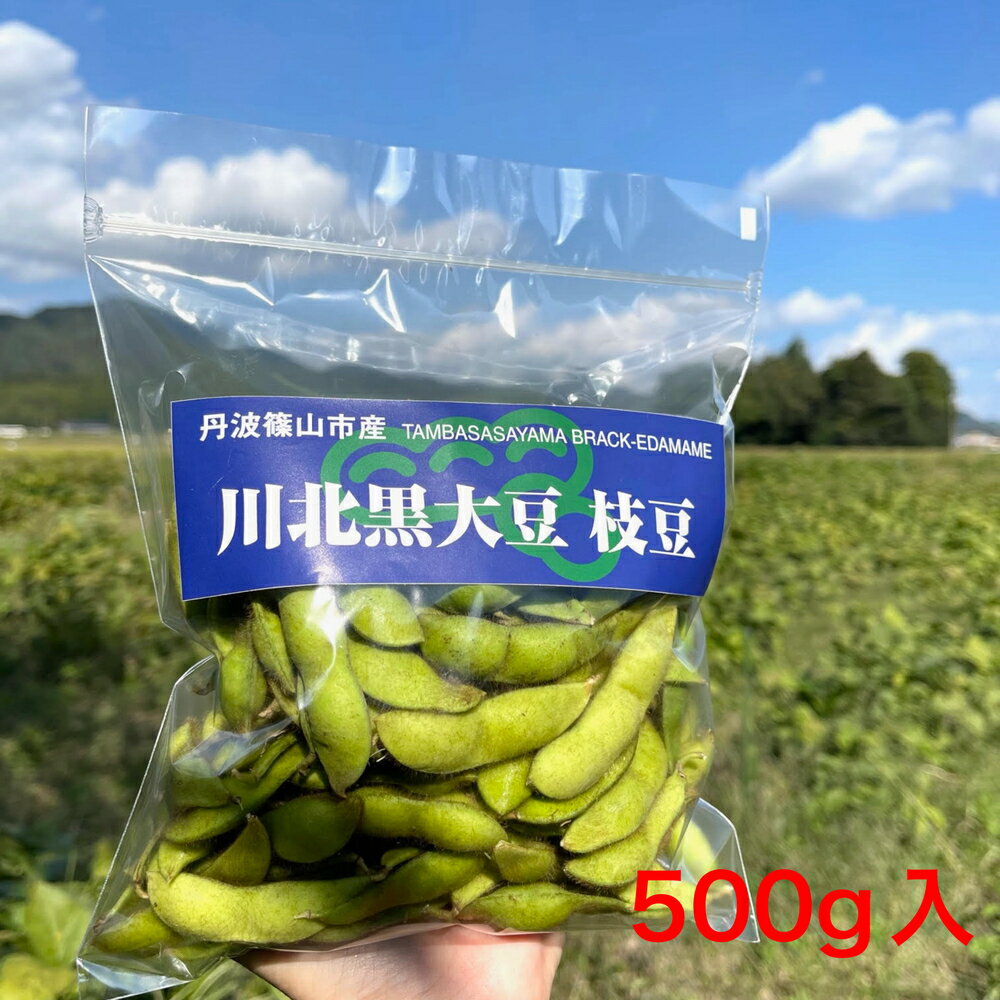 【ふるさと納税】川北黒大豆枝豆・丹波黒煮豆のセット（枝豆3袋・煮豆3袋） | 兵庫県 丹波篠山市