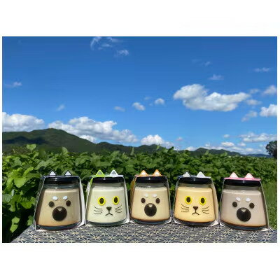 【ふるさと納税】【ふるさと納税】丹波篠山黒豆プリンと川北黒大豆のセット | 兵庫県 丹波篠山市 川北黒大豆 兵庫県 丹波篠山市産 黒豆 お菓子 スイーツ デザート