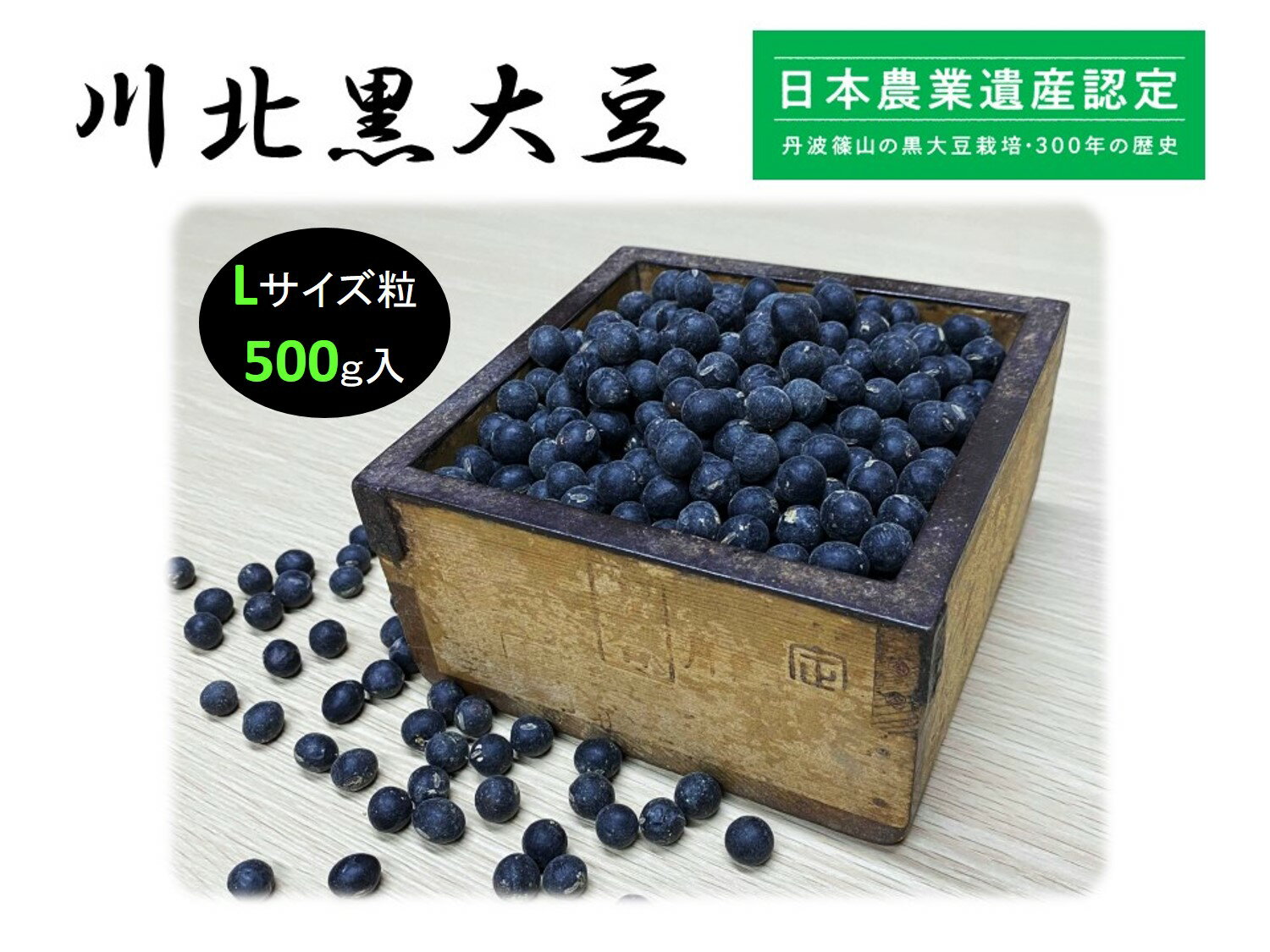 【ふるさと納税】【2023年12月収穫　新豆】川北黒大豆　Lサイズ粒　500g×2袋のサムネイル