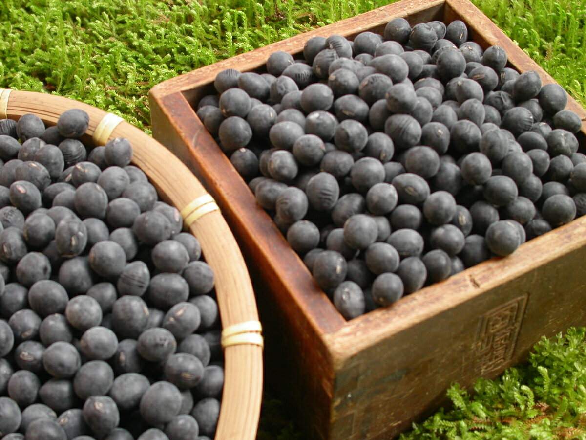 【ふるさと納税】【令和7年産予約】 丹波黒大豆 川北黒 2Lサイズ 1kg | 兵庫県 丹波篠山市 乾物 黒豆 丹波黒 おせち用 煮豆 グルメ 高級 ブランド