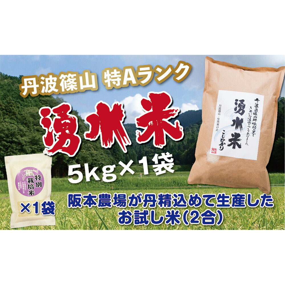 令和5年産　新米！！　丹波篠山産 特Aランク 湧水米（わきみずまい）5kg×1袋 | 丹波篠山 お米 おこめ ブランド米 ごはん ご飯 白米 米 コメ こめ 精米 精白米 ライス おいしい米 美味しいお米 兵庫県 お取り寄せ こしひかり コシヒカリ