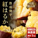 【ふるさと納税】【先行予約】焼き芋 壺焼き 紅はるか 訳あり 規格外 500g×2袋 1kg | 兵庫県 丹波篠山市 さつまいも サツマイモ さつま芋 甘い 焼き芋 焼芋 焼いも おいしい 美味しい ねっとり 食物繊維 美容 スイーツ 国産