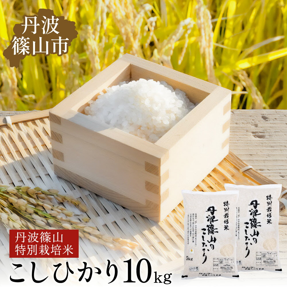 米10kg激安|送料無料で通販で買える安くて人気のお米の通販 米10kg激安|送料無料で通販で買える安くて人気のお米の通販