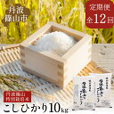 【ふるさと納税】【定期便】※令和7年 新米予約※特Aランク特別栽培米 コシヒカリ 10kg(全12回)総量120kg 兵庫県 丹波篠山市 白米 100%単一原料米 産地直送米 贈答 おいしい お米 精米 ブランド おこめ 健康 ギフト 内祝い 贈り物 送料無料 おすすめ 人気 口コミ