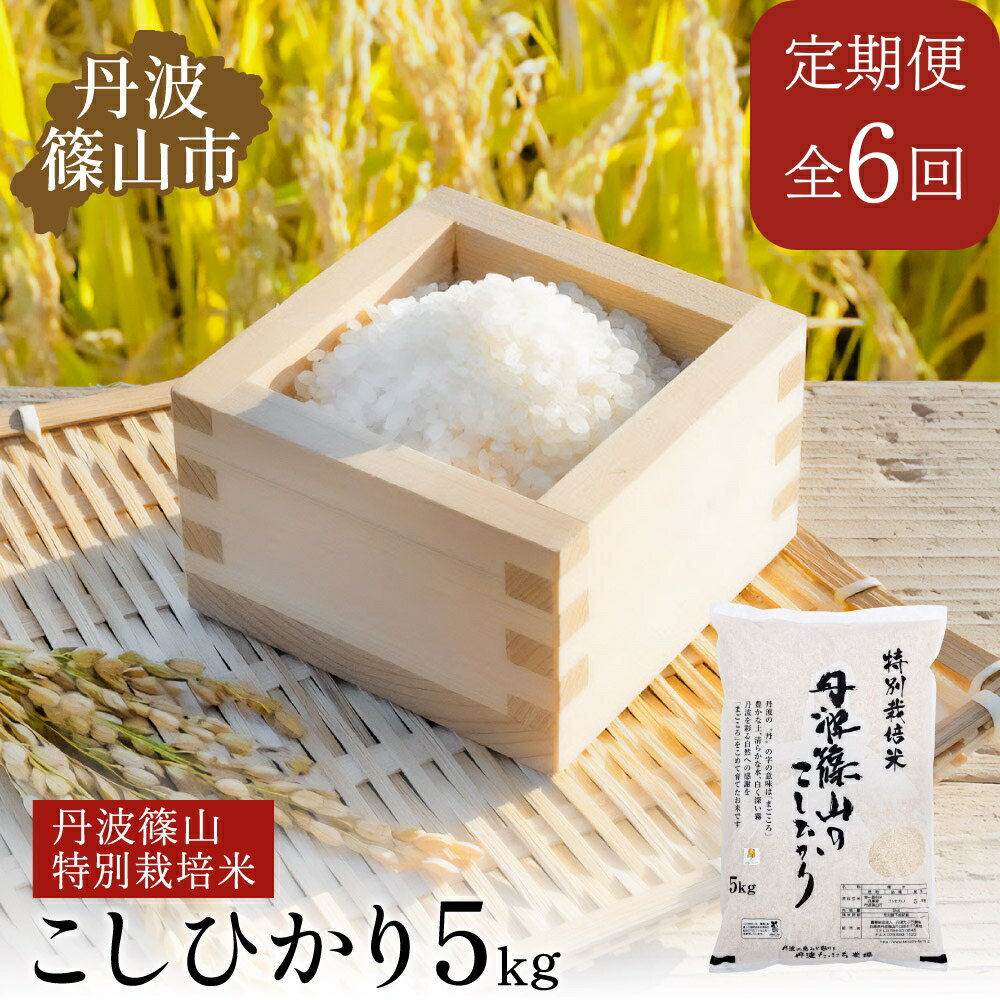 楽天市場】うるち米 30kgの通販 楽天市場】うるち米 30kgの通販