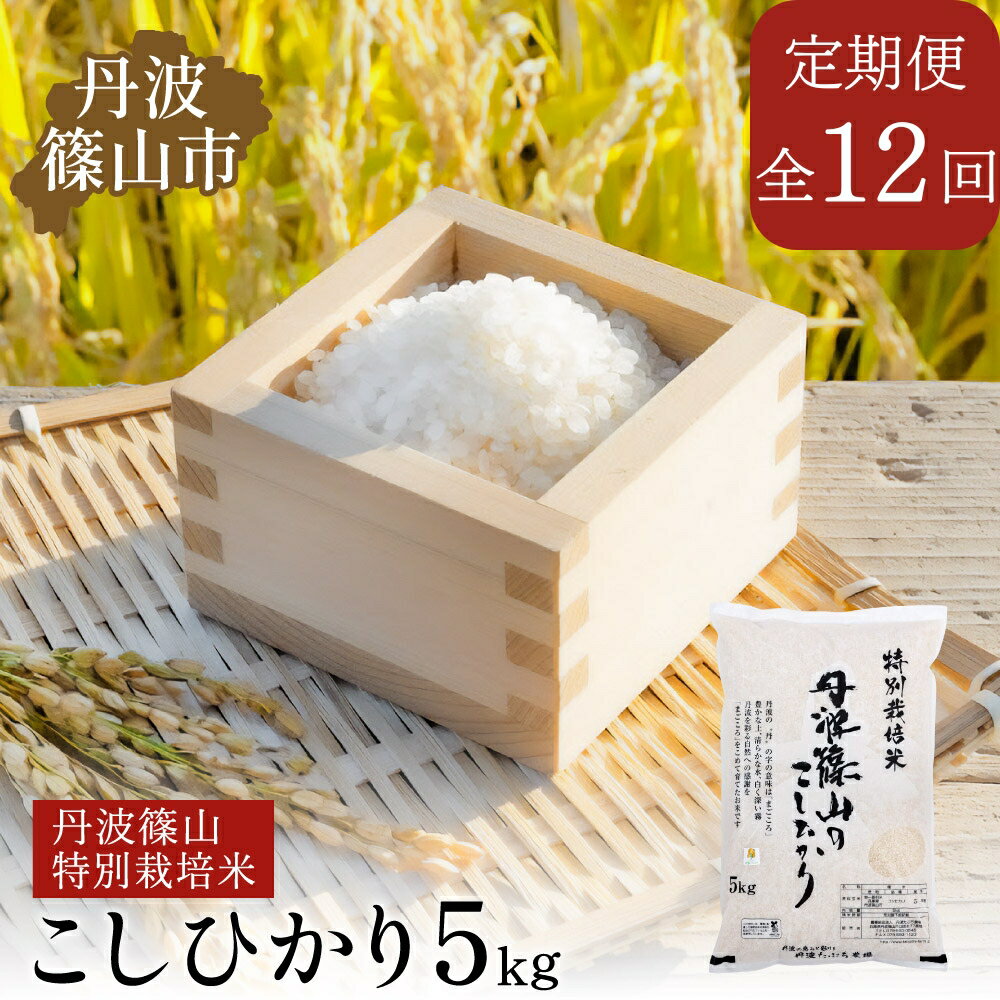 楽天市場】丹波 玄米 30kg コシヒカリの通販 楽天市場】丹波 玄米 30kg コシヒカリの通販