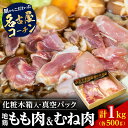 【ふるさと納税】名古屋コーチン 丹波ささやま 地鶏 正肉 セット 兵庫県 丹波篠山市 鶏肉 とり肉 鳥肉 チキン 地鶏 やきとり グルメ 美味しい 唐揚げ 業務...
