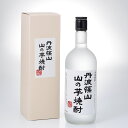 【ふるさと納税】丹波篠山 山の芋焼酎 720mlx2本セット