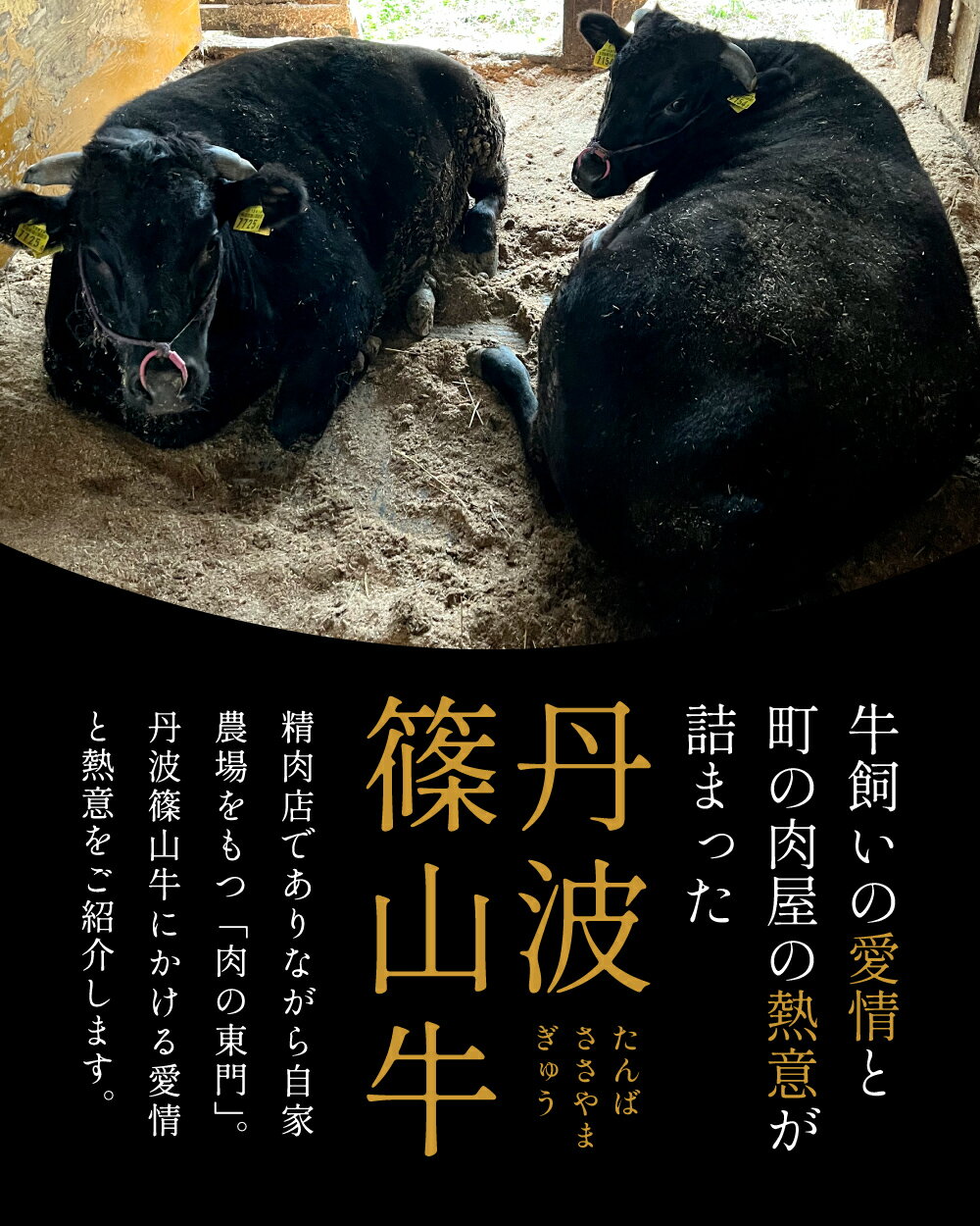【ふるさと納税】熊野牛 しゃぶしゃぶ用ロース肉 640g／960g | 和歌山県 和歌山市 和歌山 楽天ふるさと 納税 支援品 返礼品 お取り寄せグルメ お取り寄せ 取り寄せ グルメ 黒毛和牛 和牛 牛肉 お肉 牛 肉 ロース しゃぶしゃぶ ブランド牛 牛ロース 国産牛肉