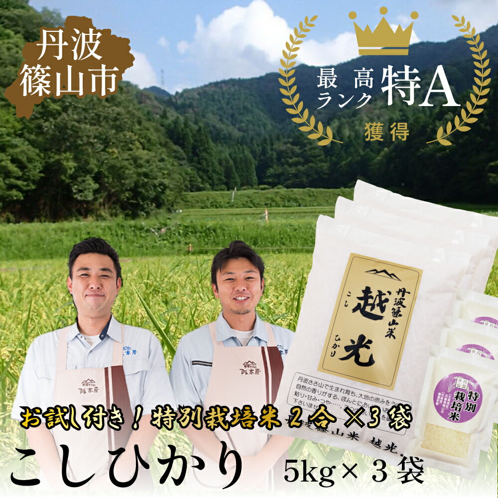 【ふるさと納税】令和6年産　丹波篠山産 特Aランク 越 光 （5kg×3袋）・お試し米付き！ | 丹波篠山 お米 おこめ ブランド米 ごはん ご飯 白米 米 コメ こめ 精米 精白米 ライス おいしい米 美味しいお米 兵庫県 お取り寄せ こしひかり コシヒカリのサムネイル